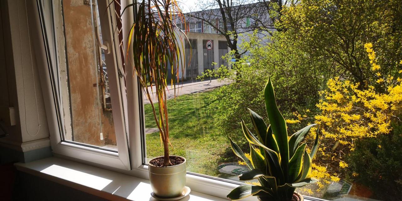 Kambariu Nuoma Kaune - Kaunas Buitenkant foto
